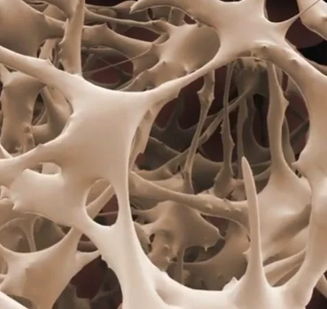 Connective tissue icon