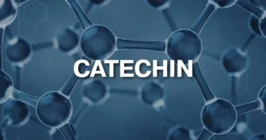 Molecular illustration of catechin, an example of a plant antioxidant compound