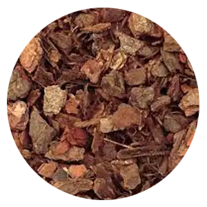 Devil's claw root icon