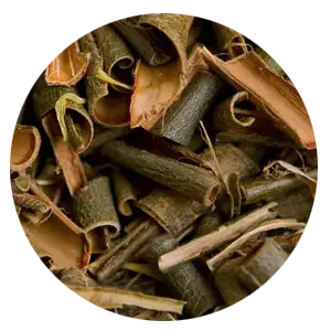 Glucosamine icon