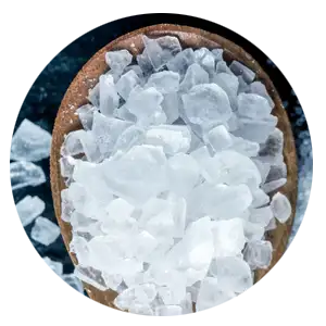 White willow bark icon