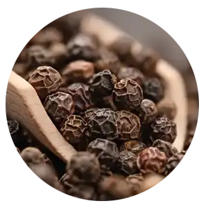 Antioxidant support icon